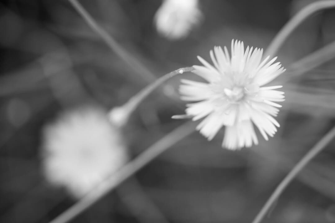 Psychotherapy in Berlin - Specialization: Fears and Anxiety Disorders Psychotherapy in Berlin - Specialization: Fears and Anxiety Disorders