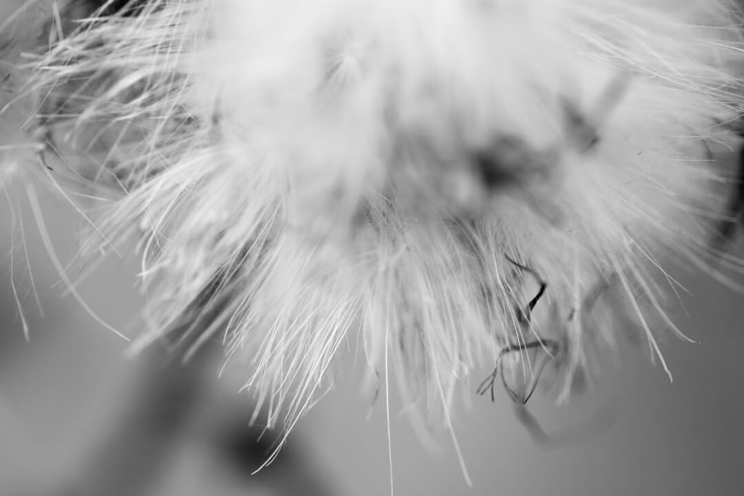 Psychotherapy in Berlin - Specialization: Fears and Anxiety Disorders