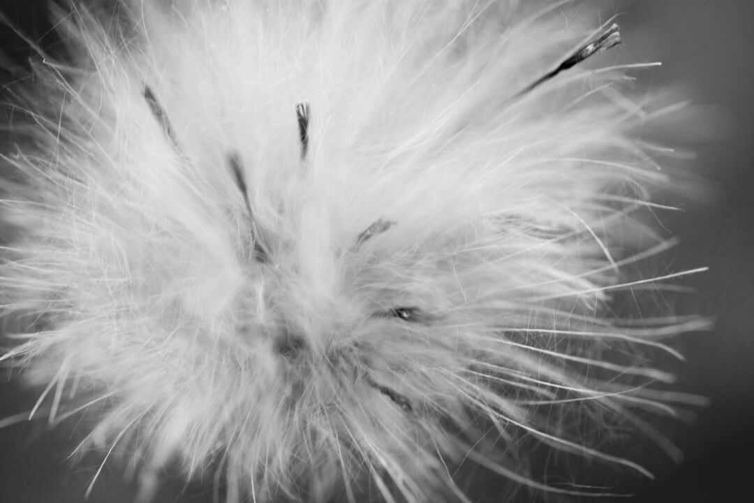 Psychotherapy in Berlin - Specialization: Fears and Anxiety Disorders Psychotherapy in Berlin - Specialization: Fears and Anxiety Disorders